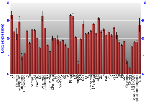 Expression graph