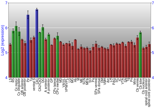 Multi-state expression graph