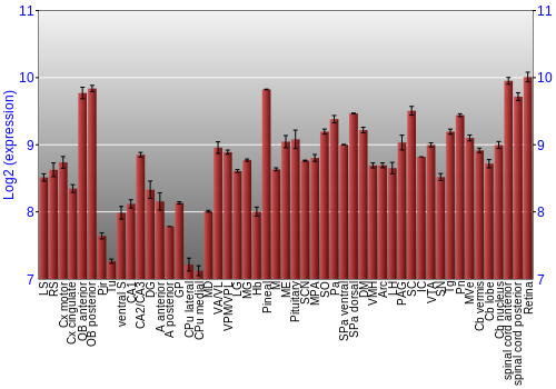 Expression graph