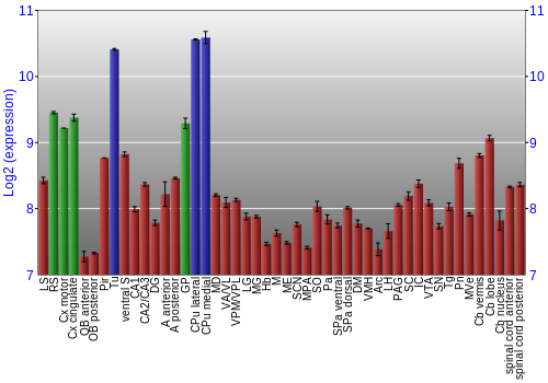 Multi-state expression graph