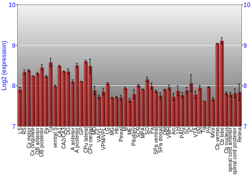 Expression graph