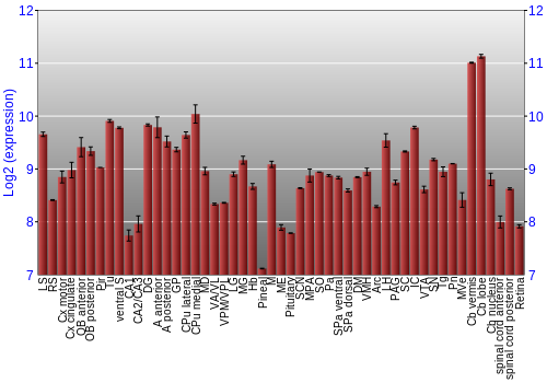 Expression graph