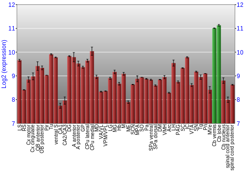 Multi-state expression graph