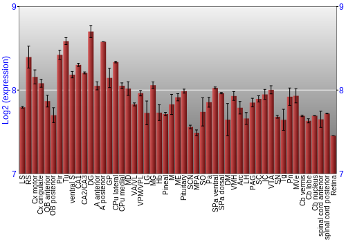 Expression graph