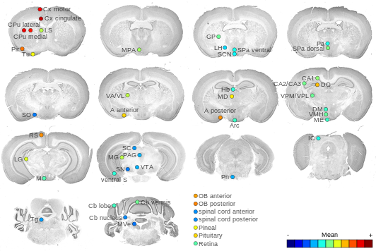 Expression map
