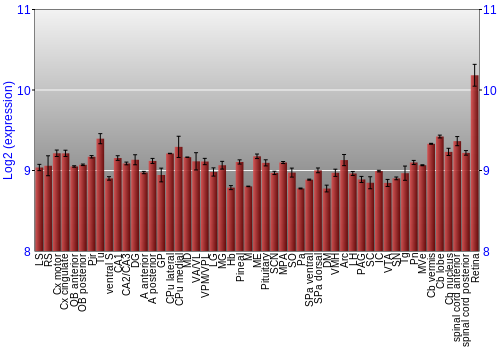 Expression graph