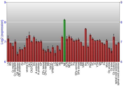 Multi-state expression graph
