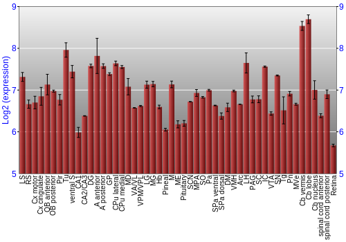 Expression graph