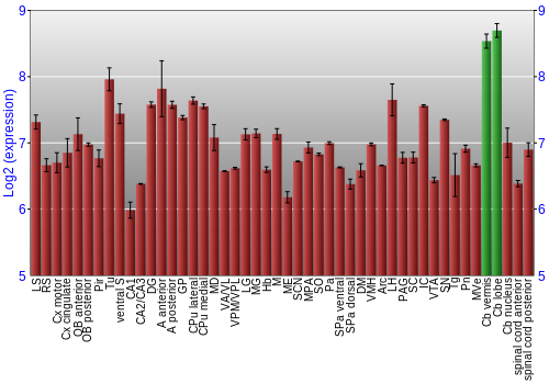 Multi-state expression graph