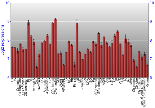 Expression graph