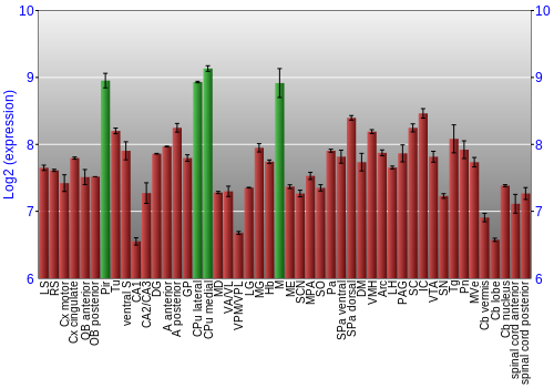 Multi-state expression graph