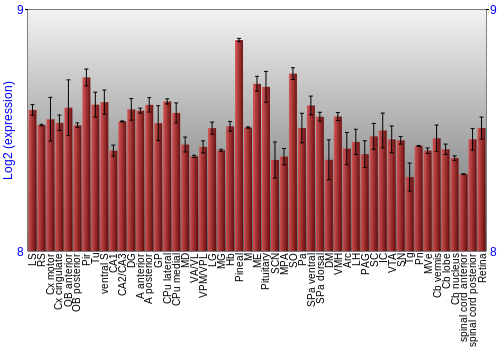 Expression graph