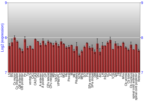 Expression graph