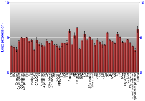 Expression graph
