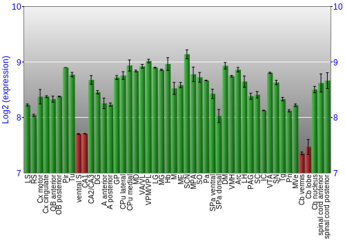 Multi-state expression graph
