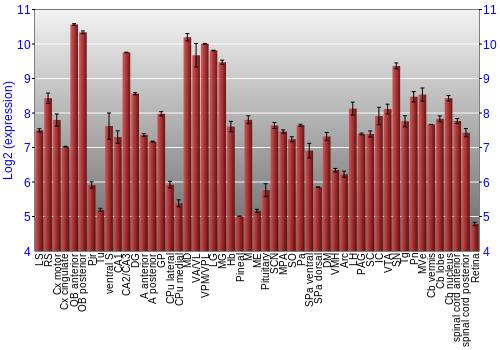 Expression graph