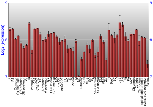 Expression graph