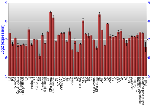 Expression graph
