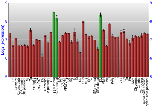 Multi-state expression graph
