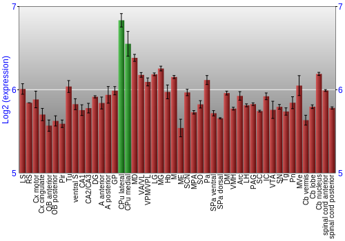 Multi-state expression graph