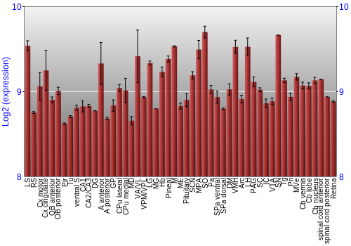 Expression graph