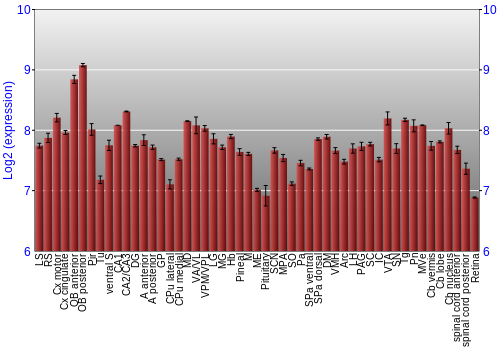 Expression graph