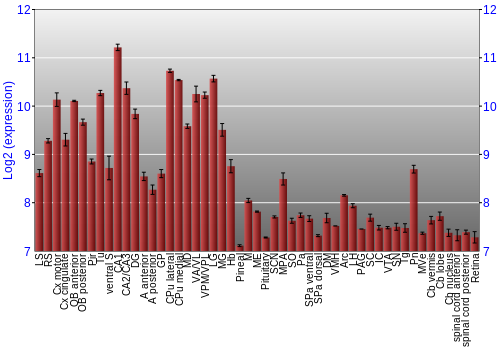 Expression graph