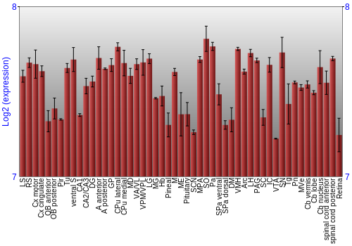 Expression graph