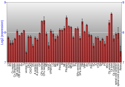 Expression graph