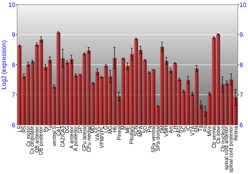 Expression graph