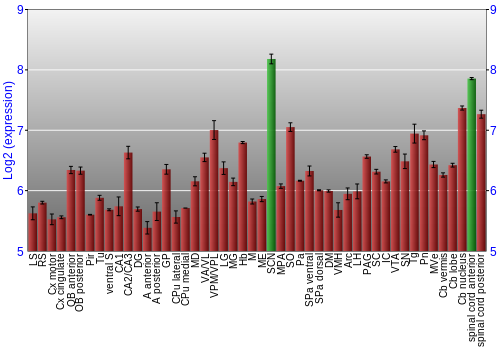 Multi-state expression graph