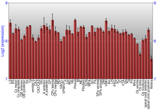 Expression graph