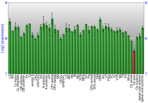 Multi-state expression graph