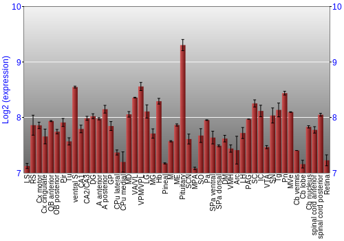 Expression graph