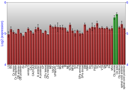 Multi-state expression graph