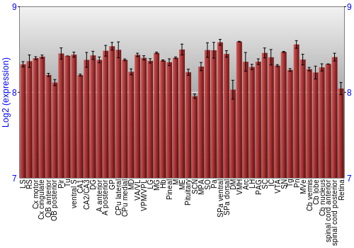 Expression graph