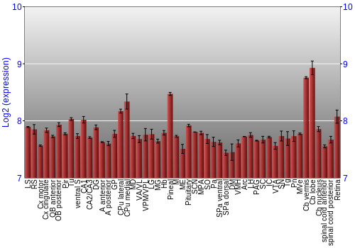 Expression graph