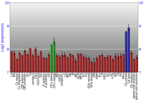 Multi-state expression graph