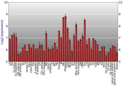 Expression graph