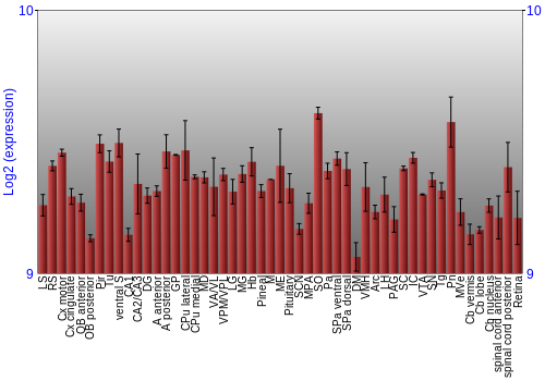 Expression graph