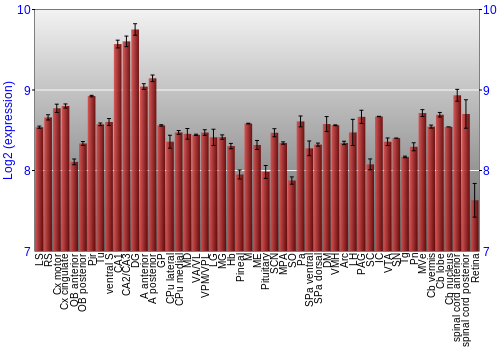Expression graph