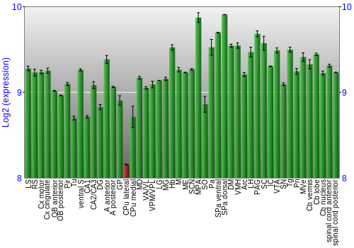 Multi-state expression graph
