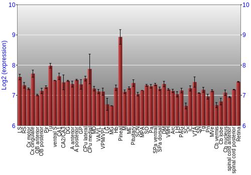 Expression graph