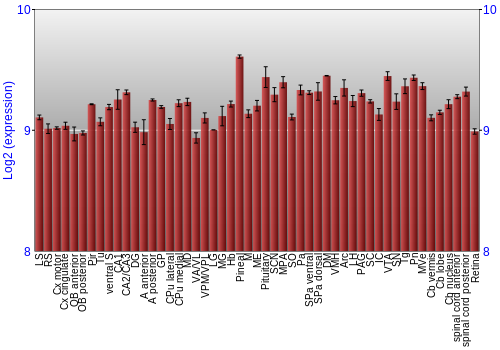 Expression graph