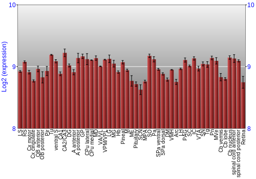 Expression graph