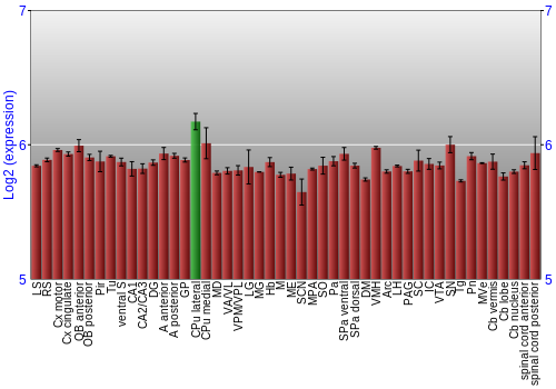 Multi-state expression graph
