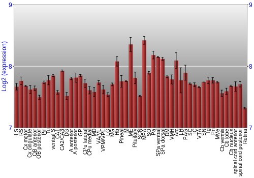 Expression graph