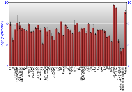Expression graph