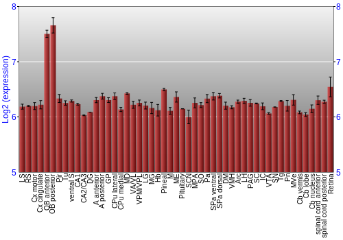 Expression graph