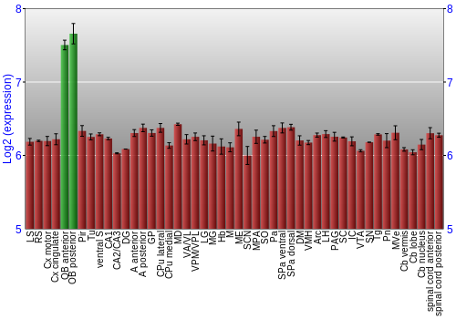 Multi-state expression graph